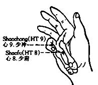 图 28. 手少阴心经循行示意图 Fig.29 The Heart Meridian of Hand-Shaoyin 图 30 Fig.31 图 29 Fig.