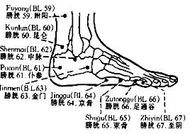 43). 16) Kunlun (BL 60) Location: In the depression between the external malleolus and tendo calcaneus (Fig.