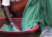 pregnancy, and contributes to increase in maternal mortality Malaria is a major