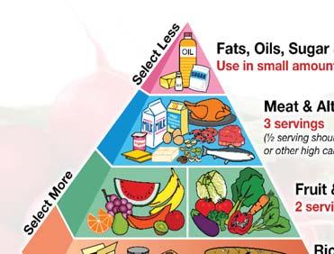 Healthy Diet Pyramid For Adults * For older adults (>50years) 1 serving of Meat & Alternatives should come from