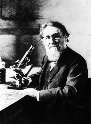 Elie Metchnikoff Metchnikoff In the Beginning Primary reason for aging is the toxins produce in the gut from the breakdown of proteins These toxins include phenols, indols and ammonia
