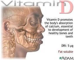 Vitamin D Calciferols the sun vitamin (UV rays) regulation of