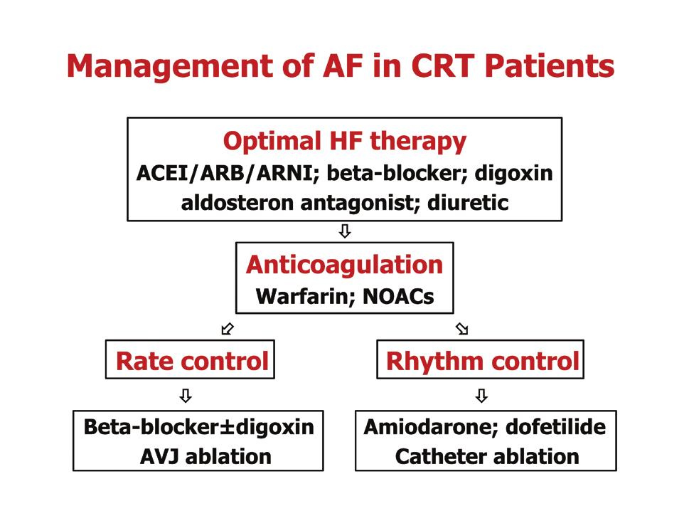 Atrial Fibrillation in Patients with Cardiac Resynchronization Therapy: Therapeutic Options Hayes i sur.