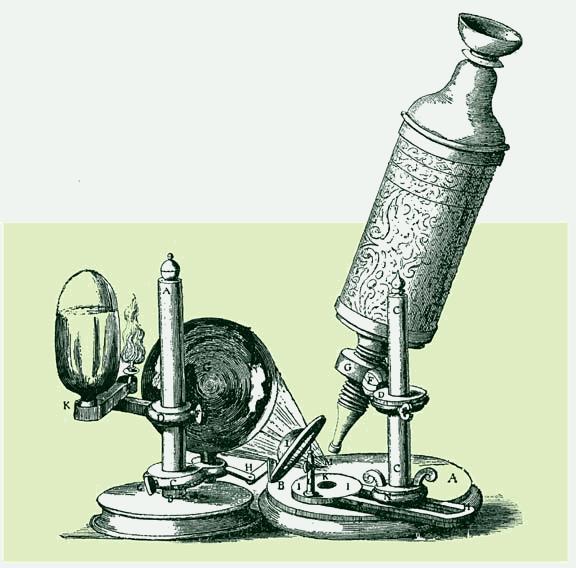 microscope in the late 1600 s Many scientists of the time