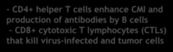 antigen specific T cells Doctor s note: T-cells that enhance CMI are also called inflammatory T-cells (TH1). T-cells that enhance production of antibodies are also called inflammatory T-cells (TH2).