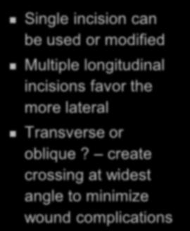 incisions favor the more lateral Transverse or