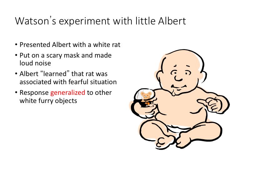 Watson wanted to see if classical conditioning applied to humans. He presented little Albert with a white rat. He then frightened the child. The UCS was a scary mask.
