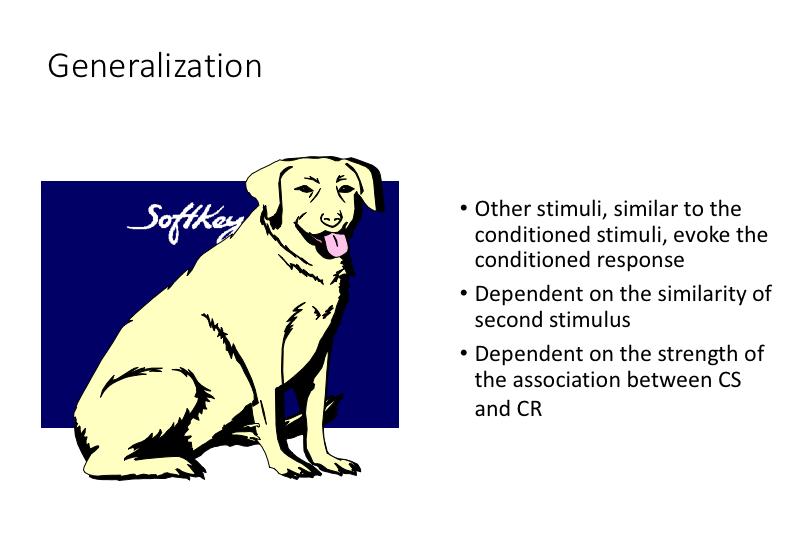 Pavlov then discovered that other stimuli, similar to the CS could evoke the salivation.