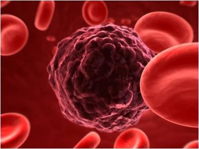 blood cells,