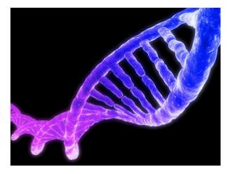 Deoxyribonucleic Acid (DNA) The biomolecule classified as a nucleic acid