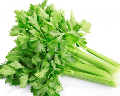 respiratory disorders Good for skin Promotes oral health Celery Has