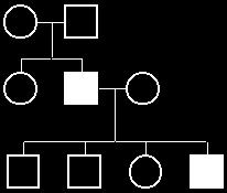 ) of genetic diseases. A sample pedigree is below. In a pedigree, squares represent males and circles represent females. Horizontal lines connecting a male and female represent mating.