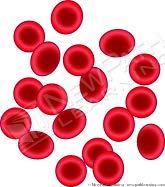 Plasma makes up over 50% of the blood and is made mostly of water. Plasma includes materials like digested foods, vitamins, minerals, and wastes from the cells.