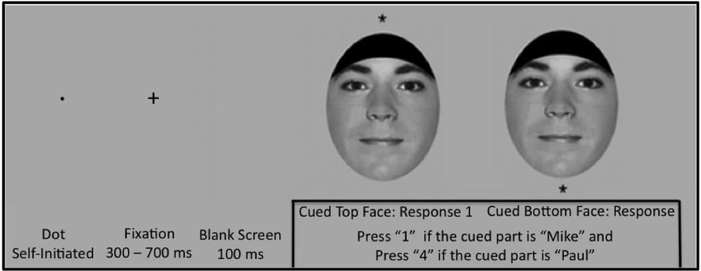 20 Composite Face Task Practice Participants were randomly presented with 10 Mike-Paul composite faces.