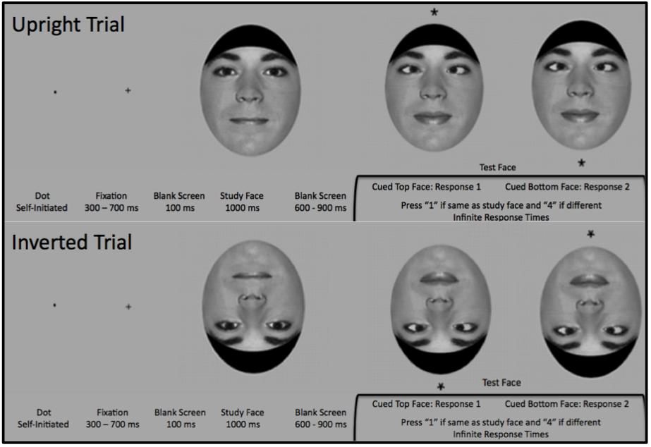 49 Figure 3.3: Experiment 2: Events on Each Experimental Trial The study face appeared on the screen for the 1000 ms followed by a test face.