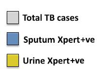 5% Xpert MTB/RIF - increased diagnostic yield in urine