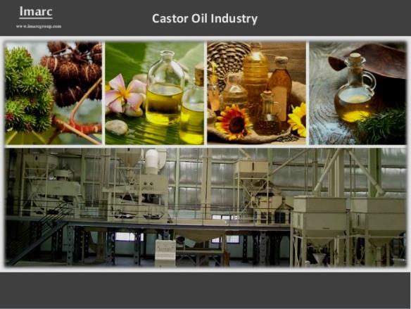 BACKGROUND Contributes to only 0.15% of Vegetable Oil Produced Globally (Patel et al., 2016).