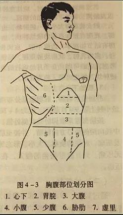TCM terminology of Chest & abdomen regions 1. Xin Xia 心下 2. Wei Wan 胃脘 3. Da Fu 大腹 4.