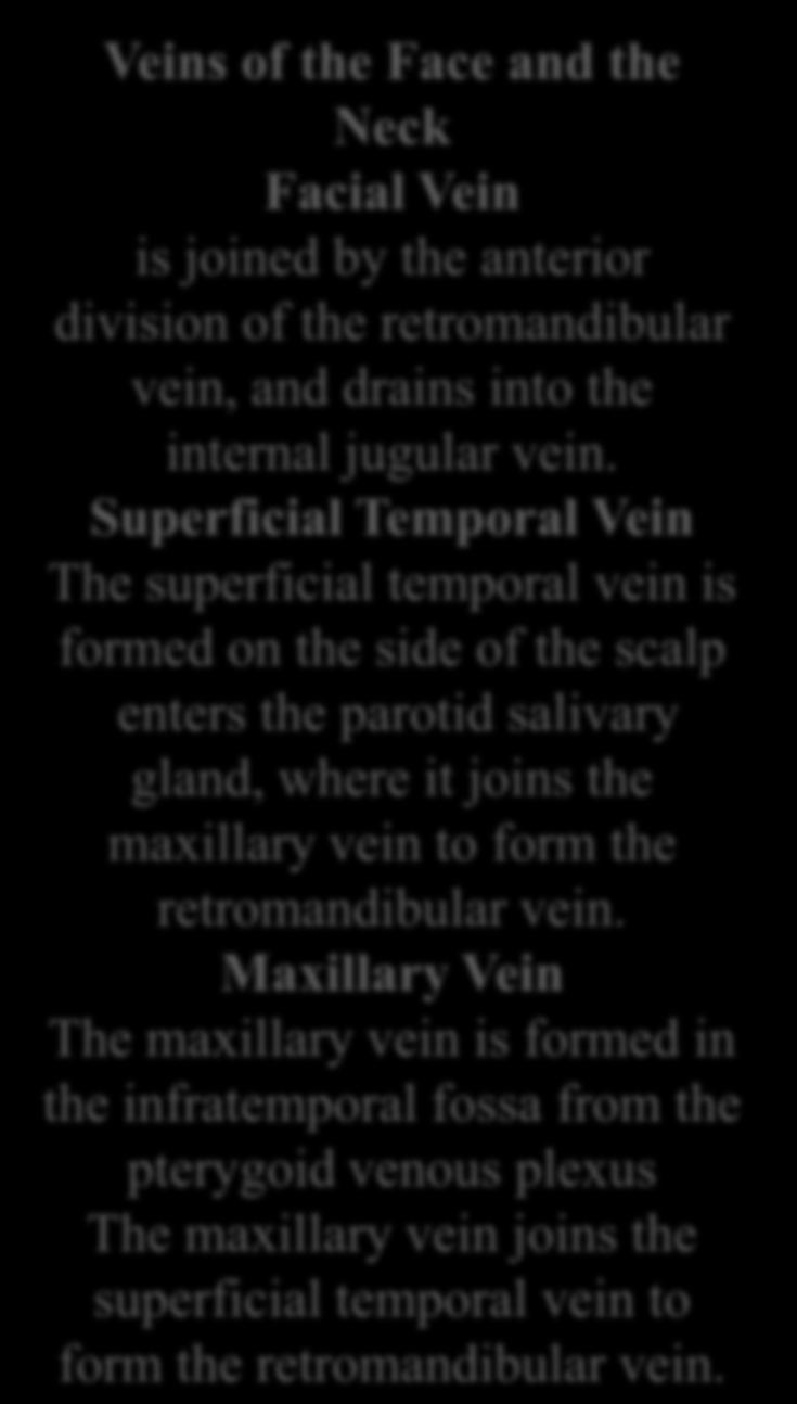Veins of the Face and the Neck Facial Vein is joined by the anterior division of the retromandibular vein, and drains into the