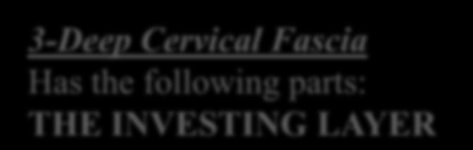 3-Deep Cervical Fascia Has the following parts: THE INVESTING LAYER Is a