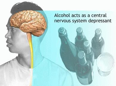 A Depressant Alcohol depresses your central nervous system.