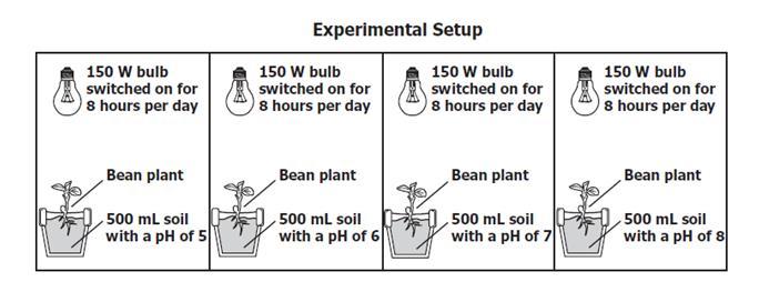 8. The diagram below shows a setup for plant investigation.