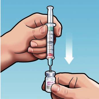 STEP 2: Place the XOLAIR vial upright on a flat surface and using standard aseptic technique, insert the needle and