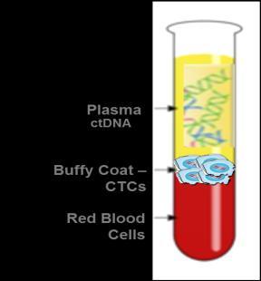 fragmented DNA shed into the blood as cells die CTCs are essential for certain types of testing All targets of tumor