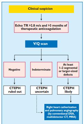 The diagnosis of CTEPH is based on findings obtained after at least 3 months of effective anticoagulation, in order to discriminate this condition from sub-acute PE.