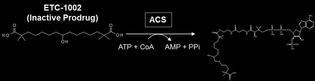 similarity to citrate. Do the other CoA esters synthesized by ASCVL1(ex palmitoyl or EPA) also inhibit ACL inhibition?