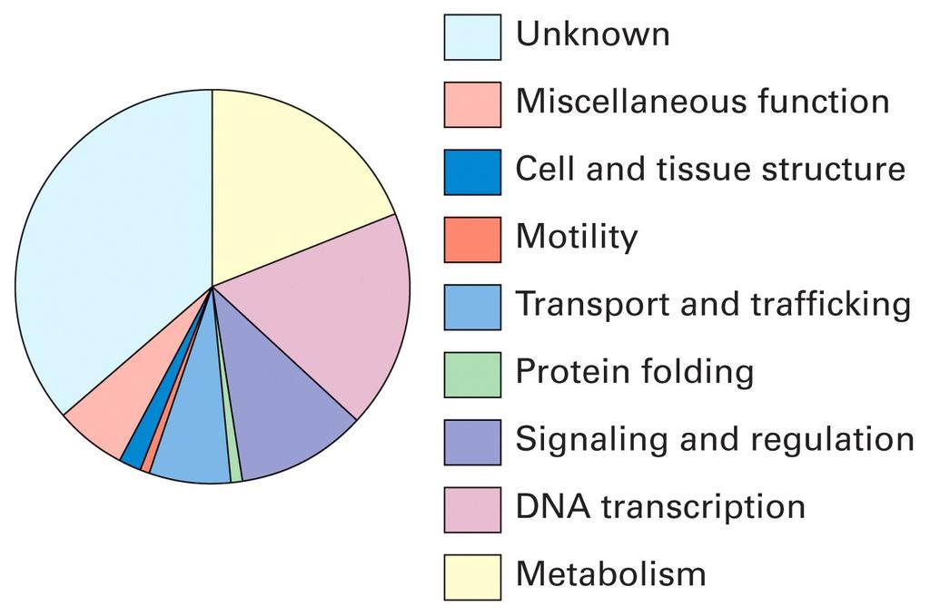 Proteins involved in