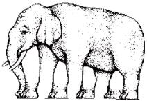 Impossible figures Figure 12. Elephant feet.