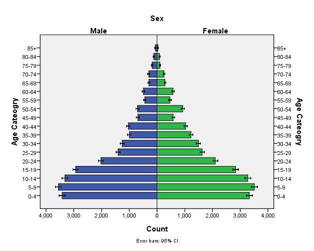 Figure 2: Population pyramid