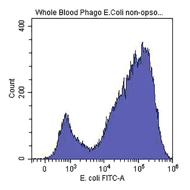 coli bacteria in whole blood