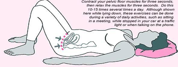 How can exercising the pelvic floor muscle help? Exercising the pelvic floor muscles can strengthen them so that they once again give support.