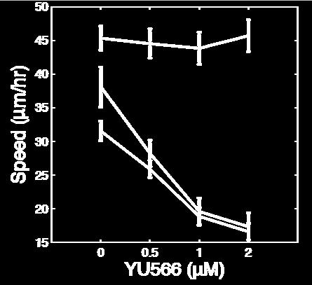 assays YU566: IC50 ~60 nm [YU566], µm