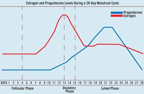 PREPARING FOR EMBRYO TRANSFER AFTER FREEZE ALL IVF Day 2, 3: Check hormone profile: FSH, Estradiol, Progesterone Start oral medication: Progynova (Estradiol) 1 tab 4 times a day ±