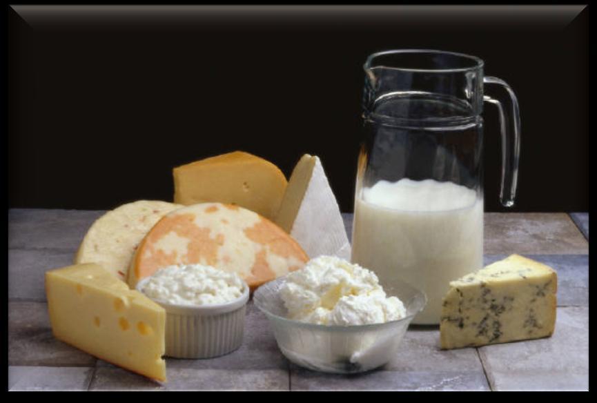 Distribution AFM1 in dairy products made from contaminated