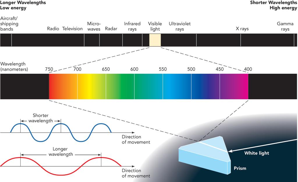 Vision: Light Waves Light: The Stimulus Input Light waves Hue