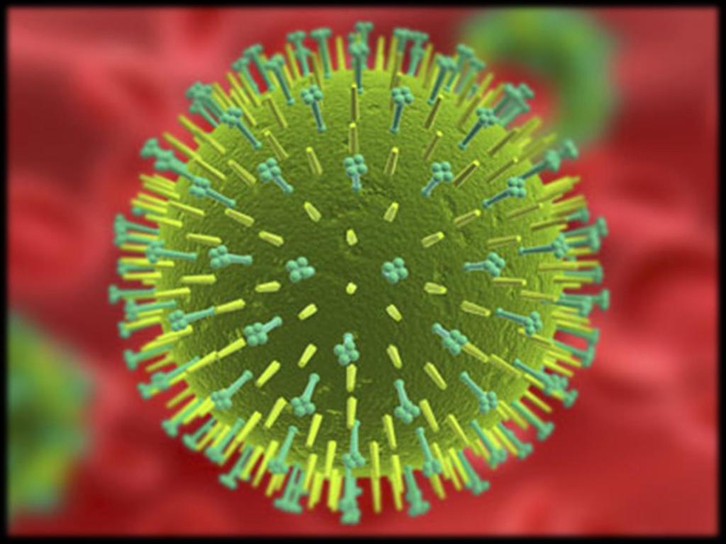 Characterizing intra-host influenza virus populations to predict emergence June 12, 2012 Forum on