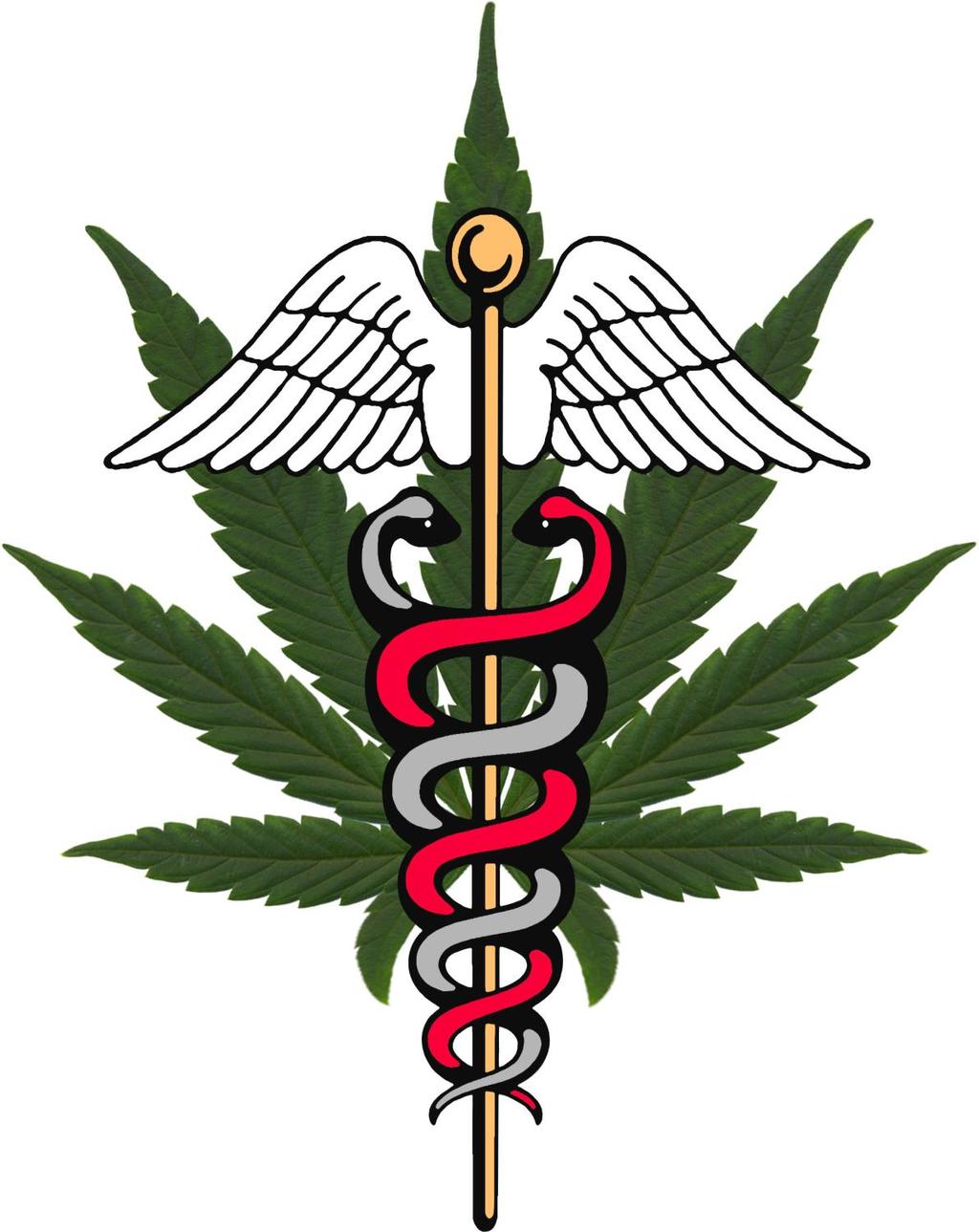 History of Medical Cannabis in Nursing Kristen Luttenberger RN, MSN, CCRN,