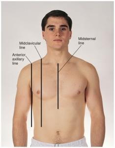 5 The Thorax and Lungs Chest Landmarks: On the anterior chest,