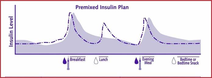 Titrating Premixed with Rapid Acting Insulin Metformin/Sensitizers BG Testing: Fasting and pre dinner every day minimum ) Consider before midday meal and bedtime occasionally Titrating Premixed