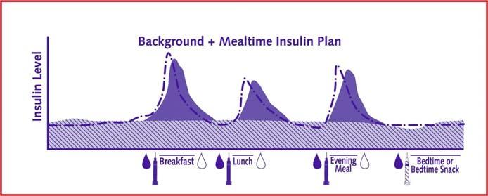 Titrating Background and Mealtime Insulin Metformin / Sensitizers BG Testing: Fasting Before all meals 1 2 hrs after at least one meal Titrating Background and Mealtime Insulin If more than half