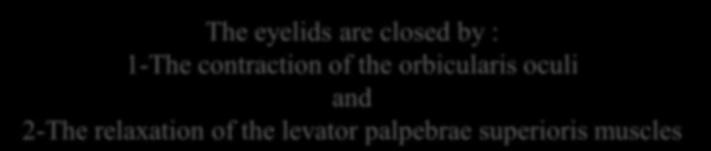 The eyelids are closed by : 1-The contraction of the orbicularis oculi and 2-The relaxation of the levator palpebrae superioris
