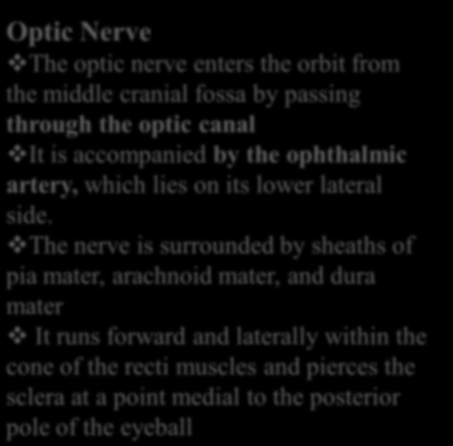 Nerves of the Orbit Optic Nerve The optic nerve enters the orbit from the middle cranial fossa by passing through the optic canal It