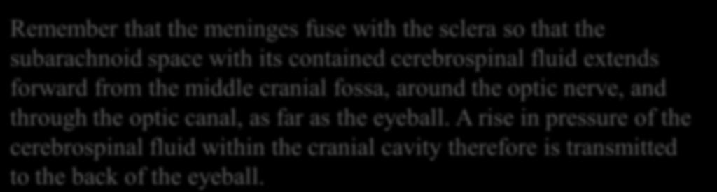 sclera so that the subarachnoid space with its contained cerebrospinal fluid extends forward from the middle cranial fossa, around