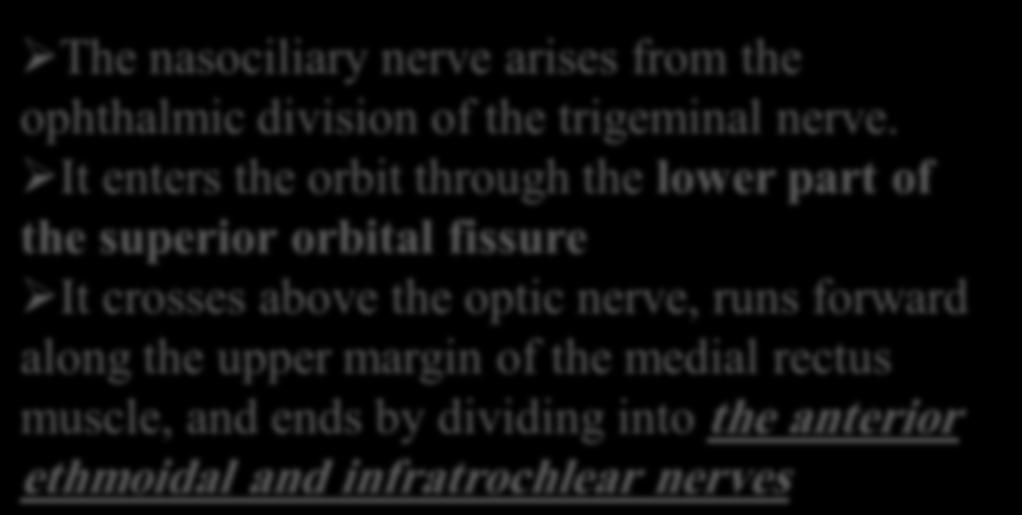 Nasociliary Nerve The nasociliary nerve arises from the ophthalmic division of the trigeminal nerve.