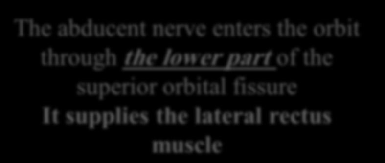 The Sixth Cranial nerve ABDUCENT NERVE