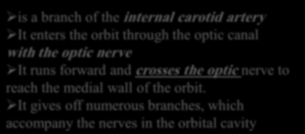 It gives off numerous branches, which accompany the nerves in the orbital cavity Branches of the